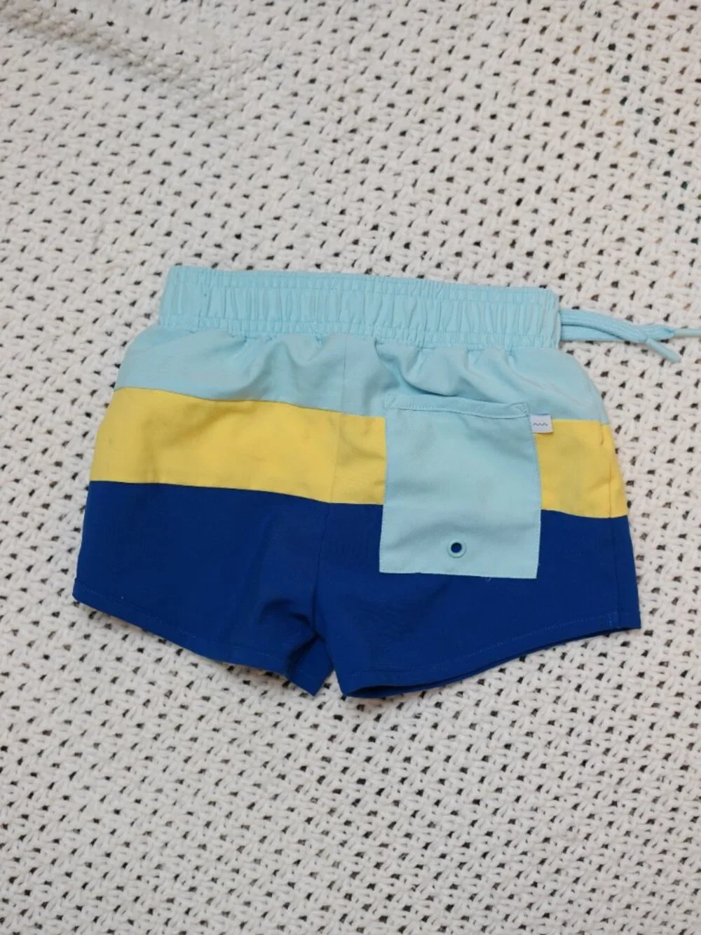 Minnow Colorblock Swim Trunks